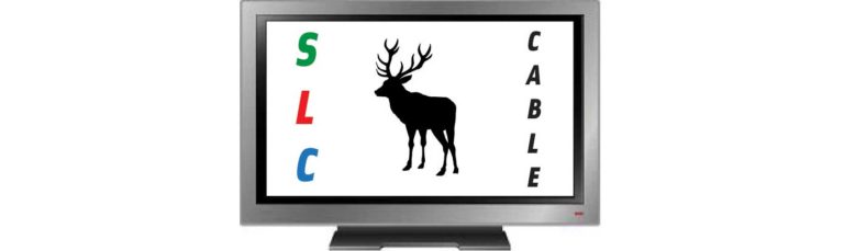 slc cable epinal association gestion abonnement cable epinal operateur sfr